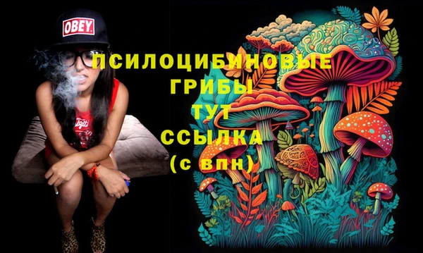 ECSTASY Абаза