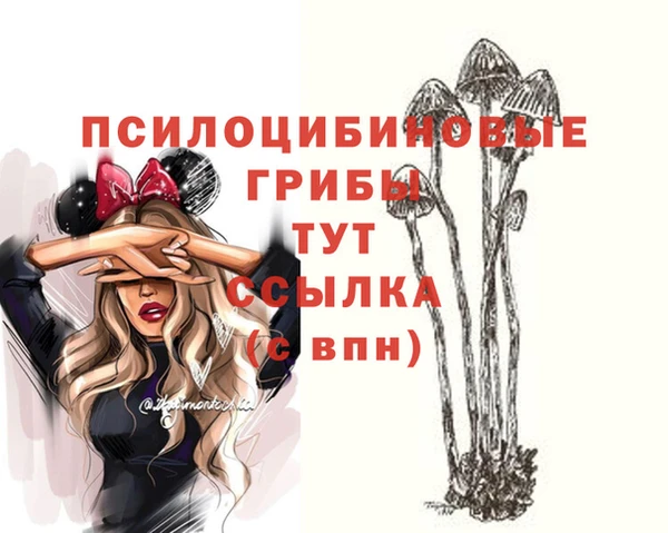 ECSTASY Абаза