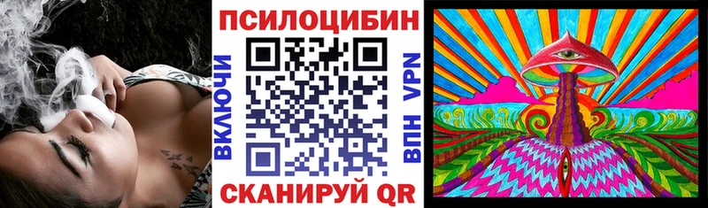 shop Telegram  Урус-Мартан  Псилоцибиновые грибы Magic Shrooms 